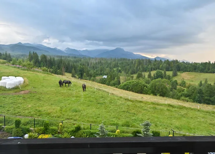 I Goscinne U Trebuni מורזאסיחלה